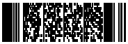 二次元コードシンボル　PDF417